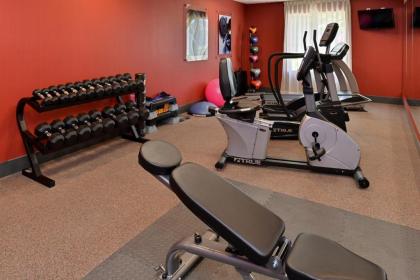 Holiday Inn Express & Suites New Martinsville an IHG Hotel - image 8