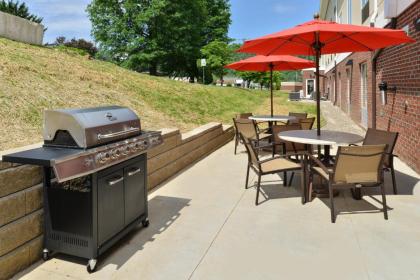 Holiday Inn Express & Suites New Martinsville an IHG Hotel - image 9