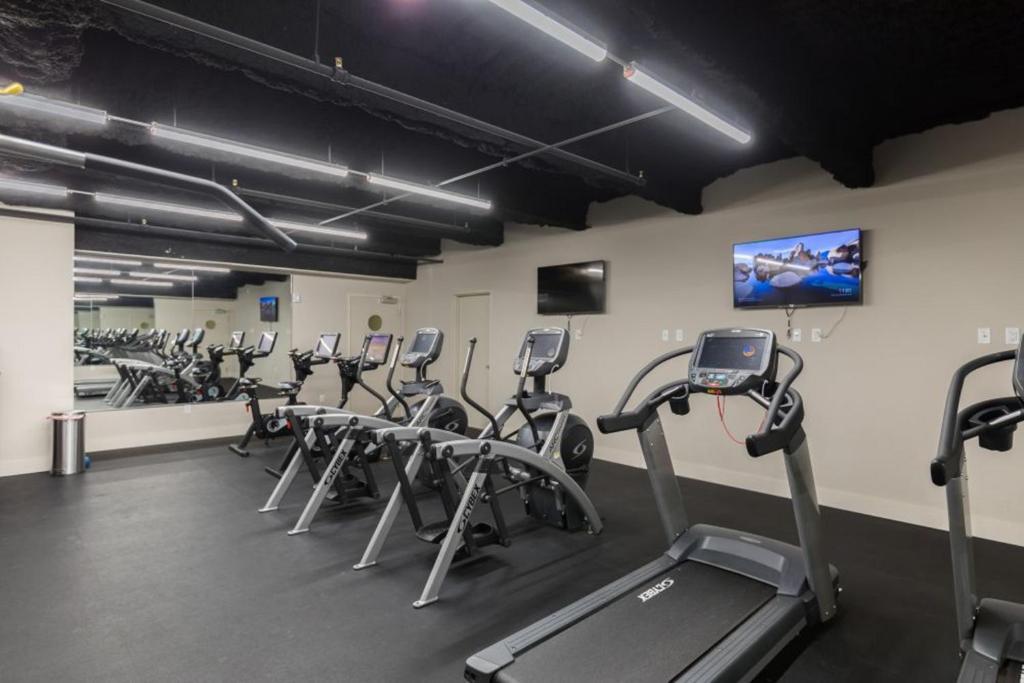 Pet-Friendly Luxury condos in Downtown New Orleans - image 3
