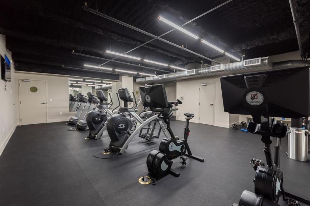 Pet-Friendly Luxury condos in Downtown New Orleans - image 5