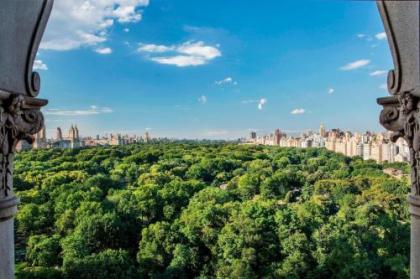 The Ritz-Carlton New York Central Park - image 5