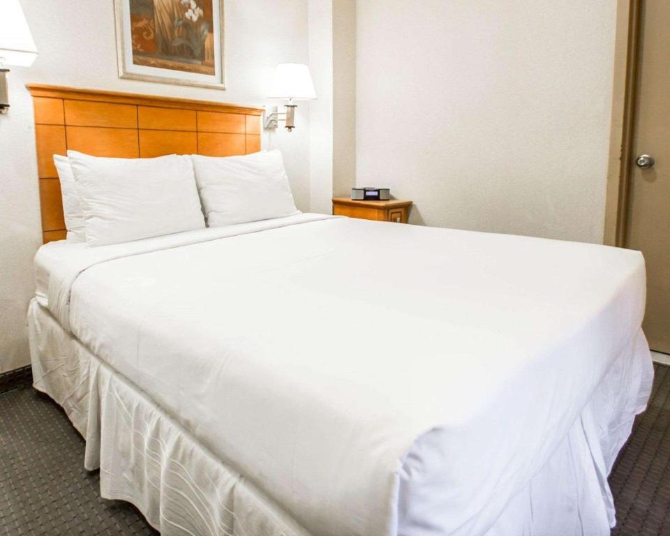 Econo Lodge Times Square - image 5