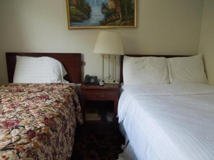 Windsor Hotel - image 4