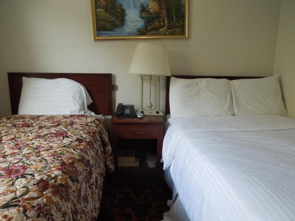 Windsor Hotel - image 4