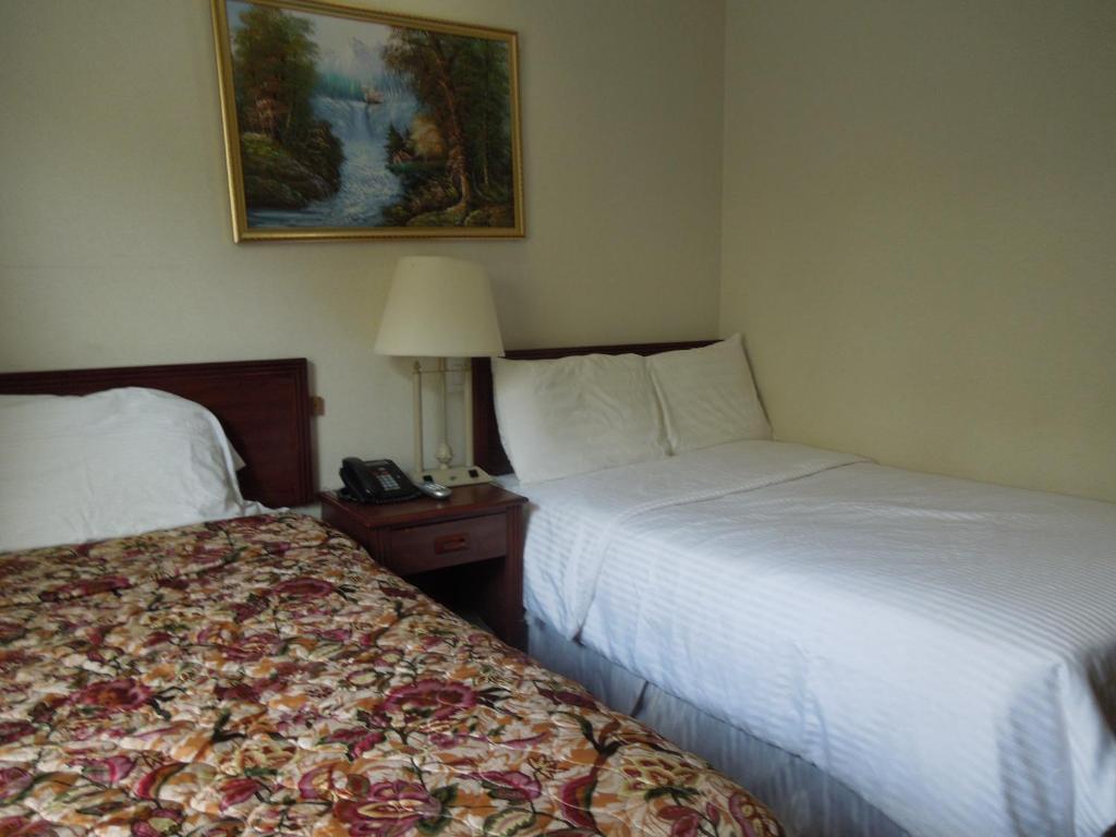 Windsor Hotel - image 5