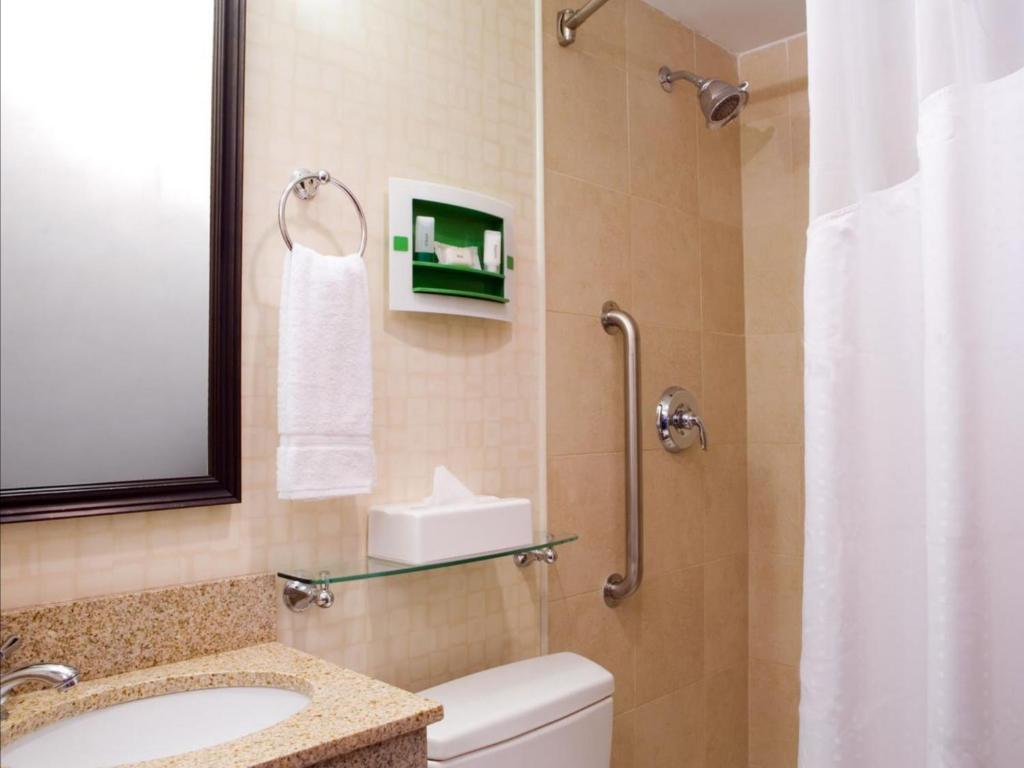 Holiday Inn Manhattan 6th Ave - Chelsea an IHG Hotel - image 2