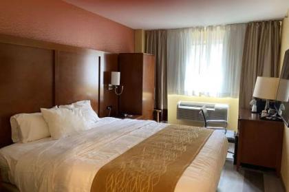 Ramada by Wyndham New York Times Square West - image 8