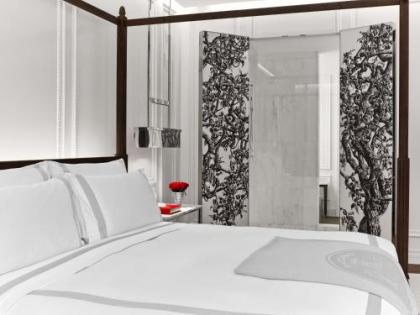 Baccarat Hotel and Residences New York - image 13