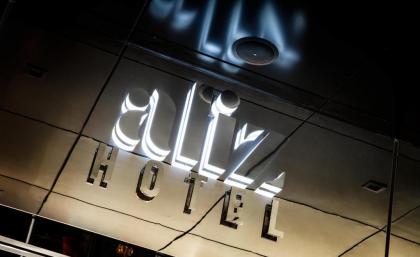 Aliz Hotel Times Square - image 5