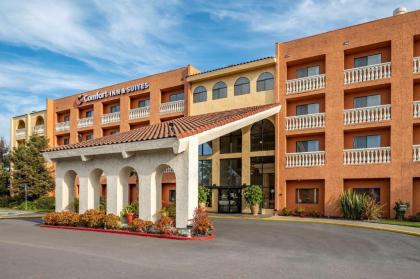 Comfort Inn  Suites Newark Newark California