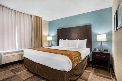 Comfort Inn & Suites Newark - image 10