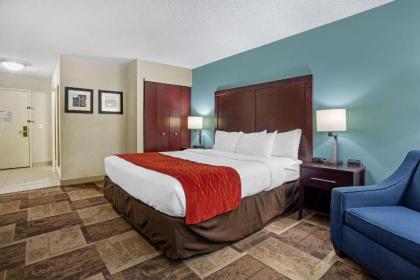 Comfort Inn & Suites Newark - image 11