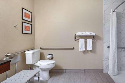 Comfort Inn & Suites Newark - image 12