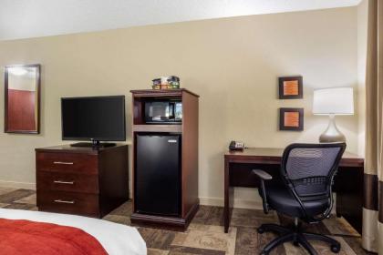 Comfort Inn & Suites Newark - image 13