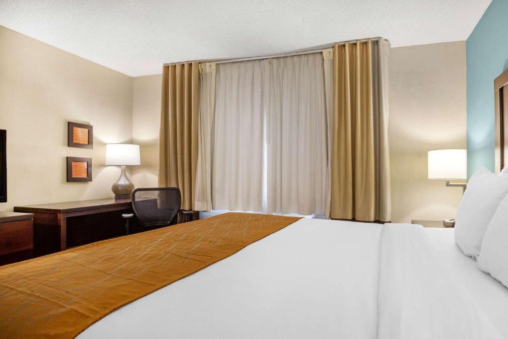 Comfort Inn & Suites Newark - image 5