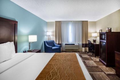 Comfort Inn & Suites Newark - image 8