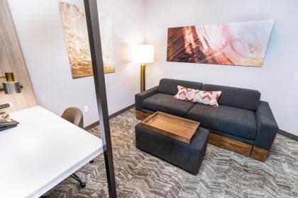 SpringHill Suites by Marriott Newark Fremont - image 15