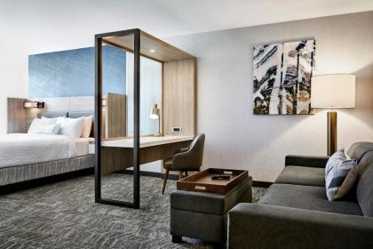 Springhill Suites By Marriott Newark Downtown - image 8
