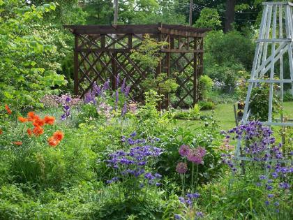Vintage Gardens Bed & Breakfast  - image 5
