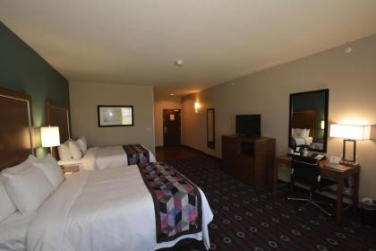 Comfort Inn & Suites Newcastle - Oklahoma City - image 15