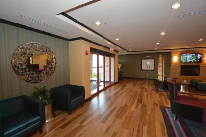 Comfort Inn & Suites Newcastle - Oklahoma City - image 3