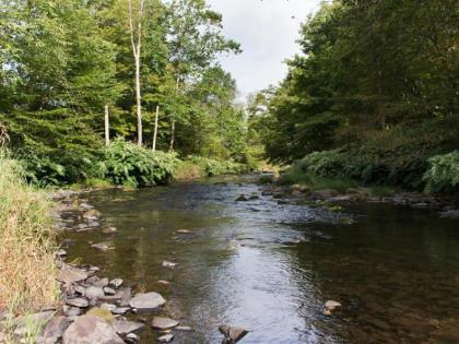 Tentrr - Wallenpaupack Creek North - image 6