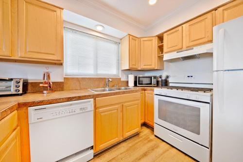 NB-206B - Newport Beach Simplicity II - image 3