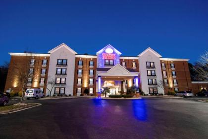 Comfort Suites Newport News Airport