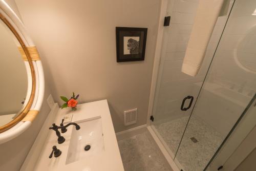 Paws on Pelham - image 5