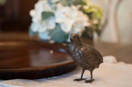 Gardenview Bed and Breakfast  - image 6