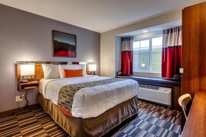 Microtel Inn & Suites by Wyndham Niagara Falls - image 5