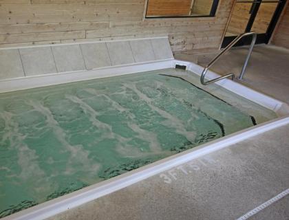 Beautiful Vacation Apartments on Serene Gull Lake - image 13