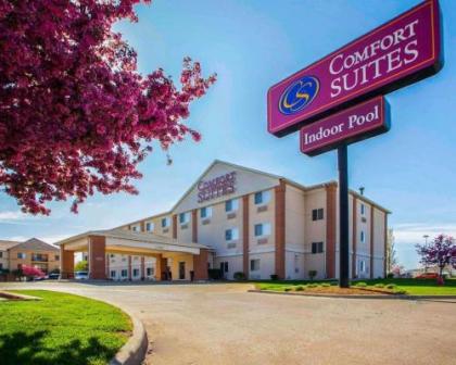 Comfort Suites Normal University area Normal Illinois