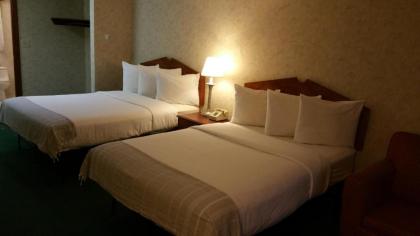 Dartmouth Motor Inn - image 3