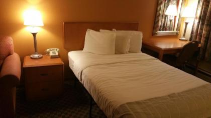 Dartmouth Motor Inn - image 4