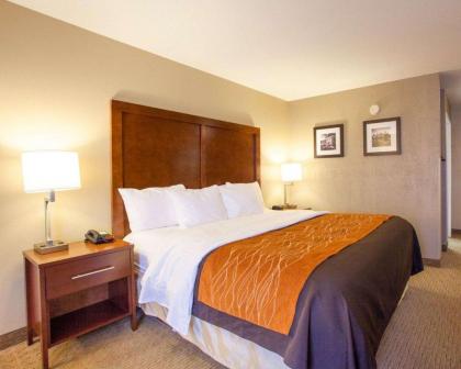 Quality Inn & Suites I-40 East - image 5