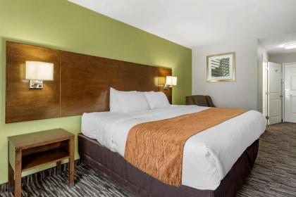 Comfort Inn & Suites North Little Rock JFK Blvd - image 6
