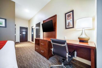 Comfort Inn & Suites North Platte I-80 - image 14