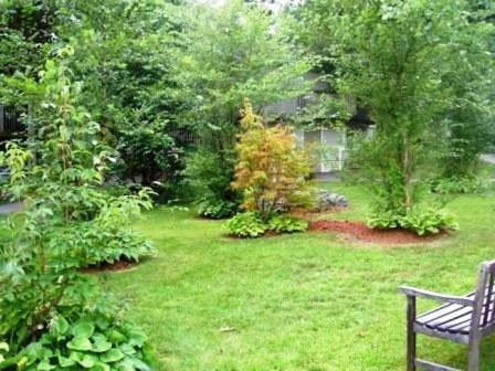 Cedar Park Inn - image 2
