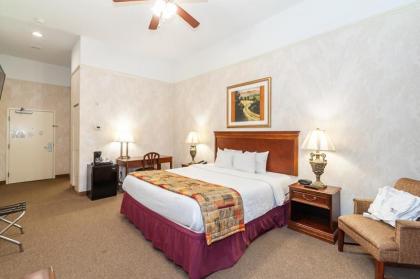 Bellissimo Grande Hotel - image 15