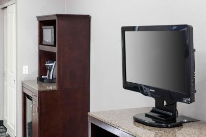 Hilton Garden Inn Detroit/Novi - image 11
