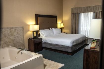 Holiday Inn Express Hotel  Suites   Novi an IHG Hotel Novi