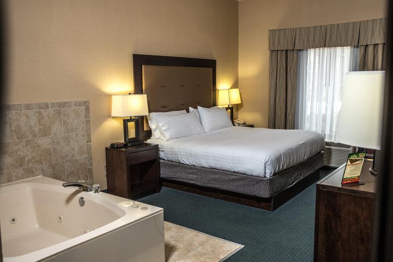 Holiday Inn Express Hotel & Suites - Novi an IHG Hotel - main image