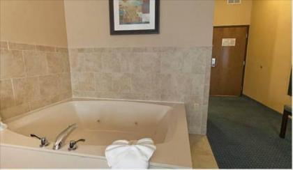 Holiday Inn Express Hotel & Suites - Novi an IHG Hotel - image 10