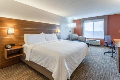 Holiday Inn Express Hotel & Suites Shiloh/O'Fallon an IHG Hotel - image 15