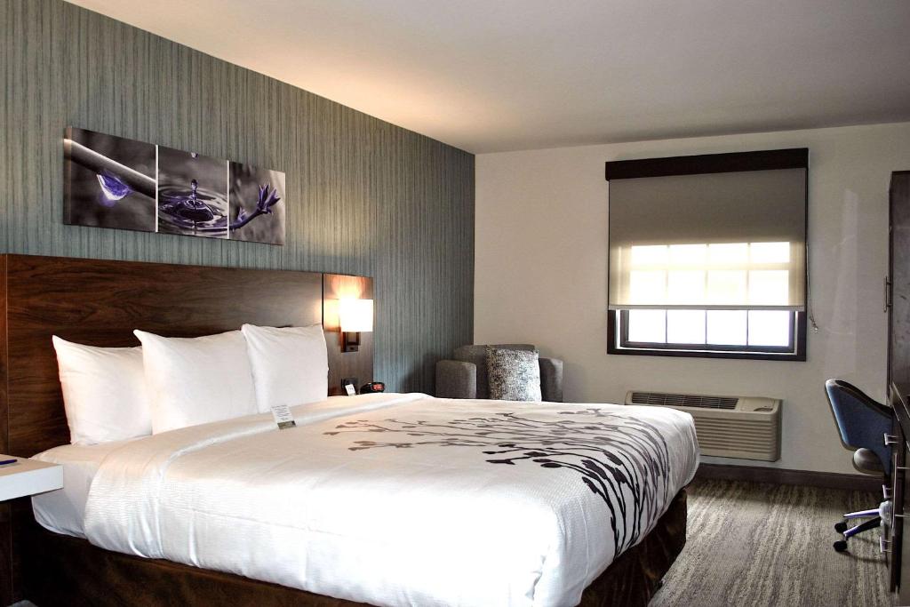 Sleep Inn OakBrook Terrace - Chicago - image 2