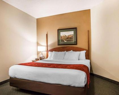 Comfort Suites Milwaukee Airport - image 13