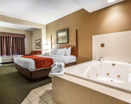 Comfort Suites Milwaukee Airport - image 7