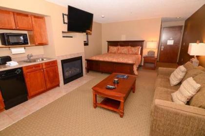 A214 - Standard View Studio Suite with Fireplace and Free WIFI!