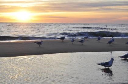 Crystal Beach Hotel - image 25